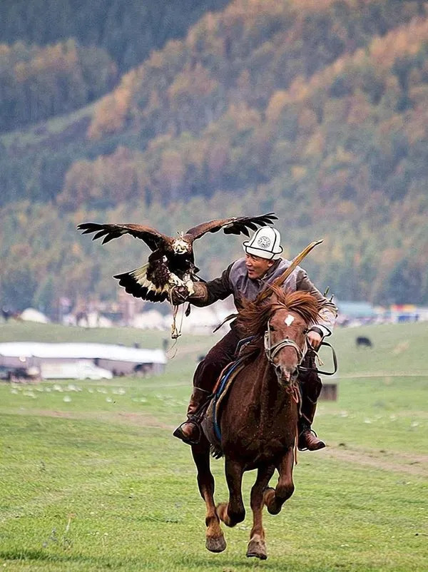 4th World Nomad Games